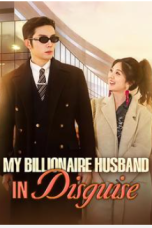 My Billionaire Husband in Disguise