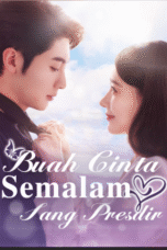 Buah Cinta Semalam Sang Presdir
