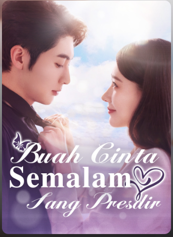Buah Cinta Semalam Sang Presdir – Drama China