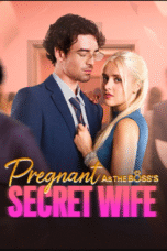 Pregnant As the Boss's Secret Wife