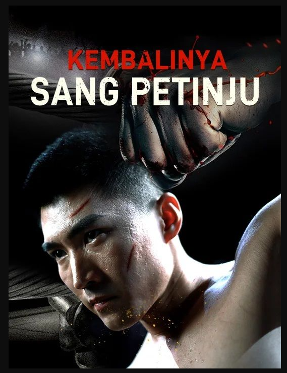 Kembalinya Sang Petinju