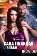 Cara Jinakkan Rubah Perak Cara Jinakkan Rubah Perak