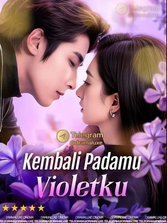 Kembali Padamu Violetku