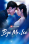 Bye Mr. Ice