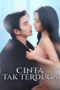 Cinta Tak Terduga